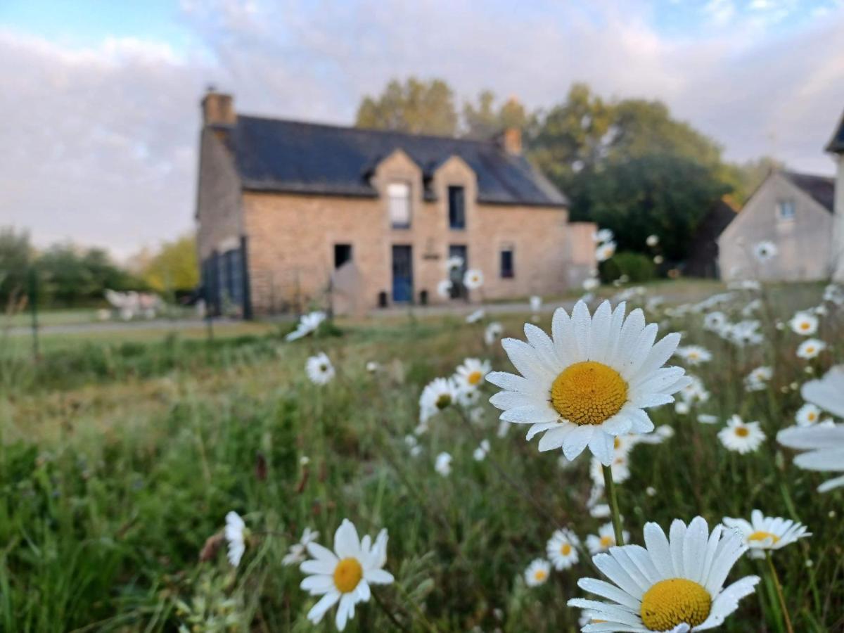 Au Petit Bonheur De Claire Et Jo Bed & Breakfast La Chapelle-Caro Exterior foto