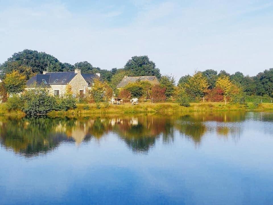 Au Petit Bonheur De Claire Et Jo Bed & Breakfast La Chapelle-Caro Exterior foto